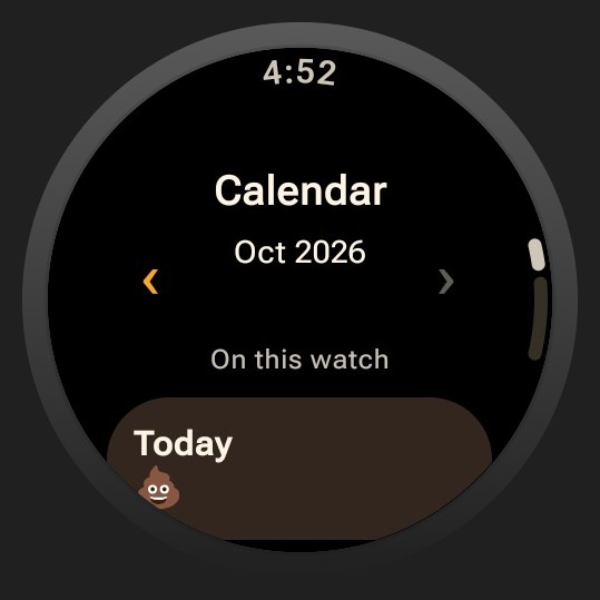 Diaroo history on Wear OS with synthetic entries in official product artwork.