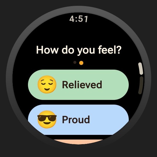 Diaroo mood on Wear OS with synthetic entries in official product artwork.