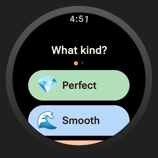 Diaroo type on Wear OS with synthetic entries in official product artwork.